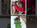 Nugget video