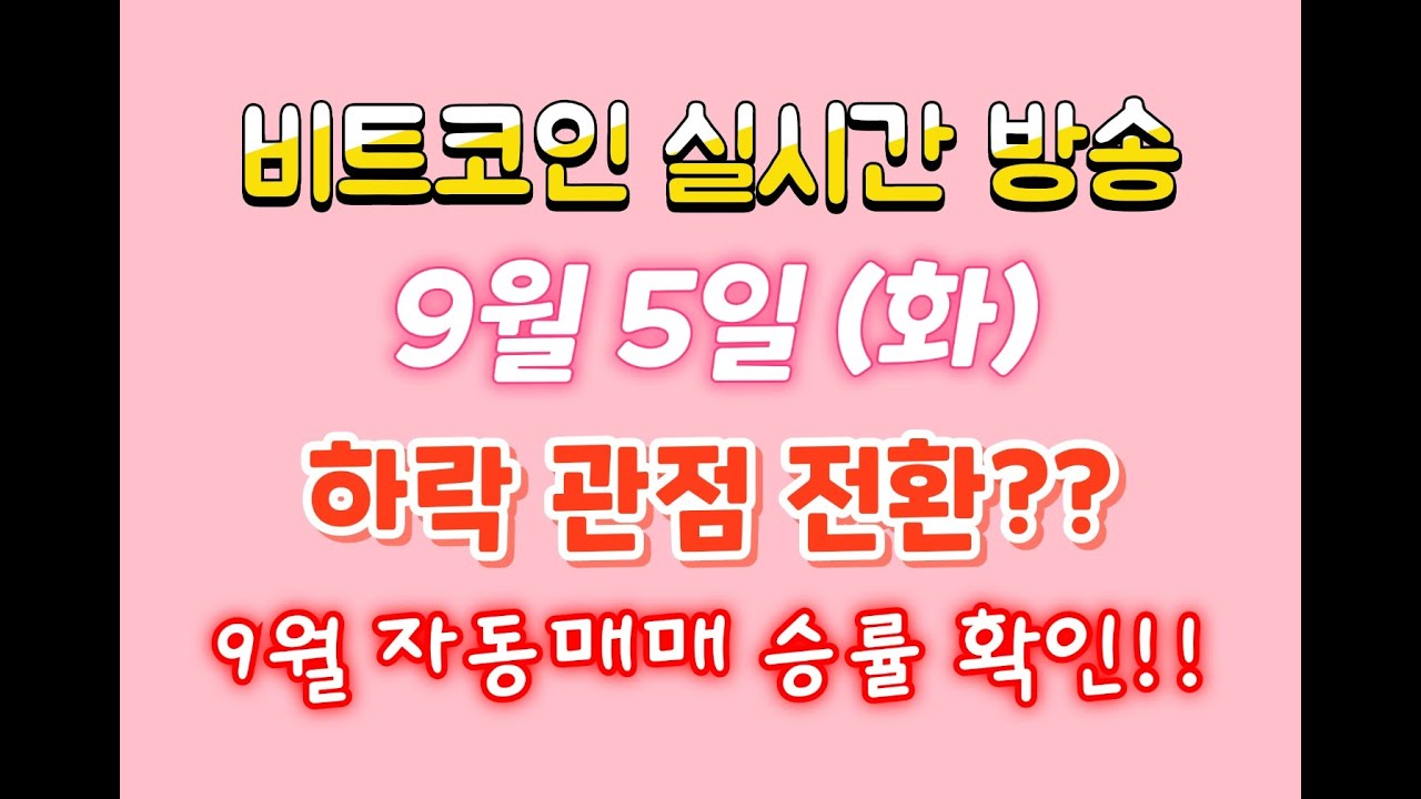 비트코인 9월 5일 라이브 방송/ 하락 관점 전환 ?? + 9월 자동매매 승률 확인 !!