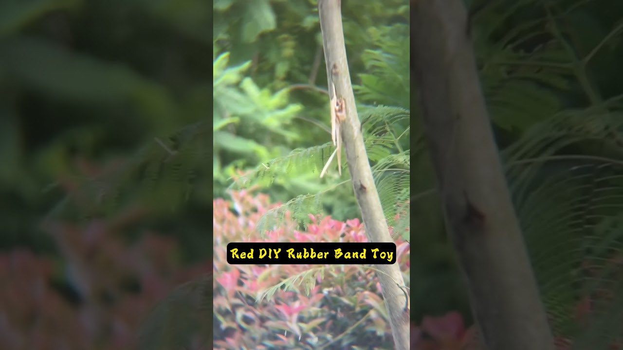 RedDIT's new CNC remote-controlled rubber band toy is so much fun!