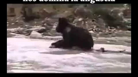 24 de octubre de 2015