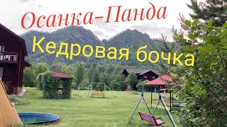 Кедровая бочка в Чемале. С видом на горы.