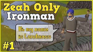 Introduction and bank overview - Zeah only ironman #1