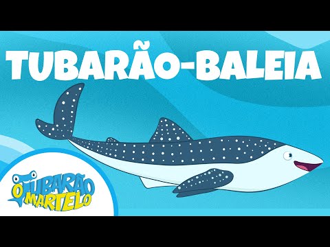 Tubarão Baleia