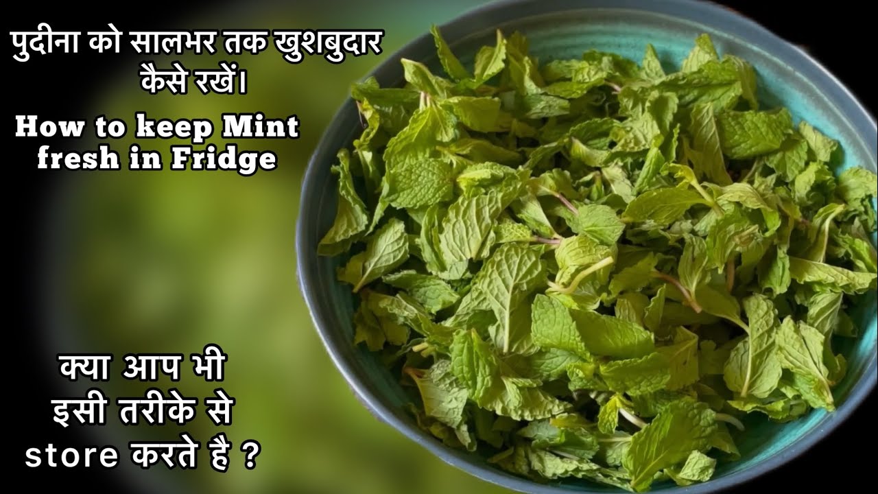 How To Store Mint Leaves how-to-store-mint-leaves