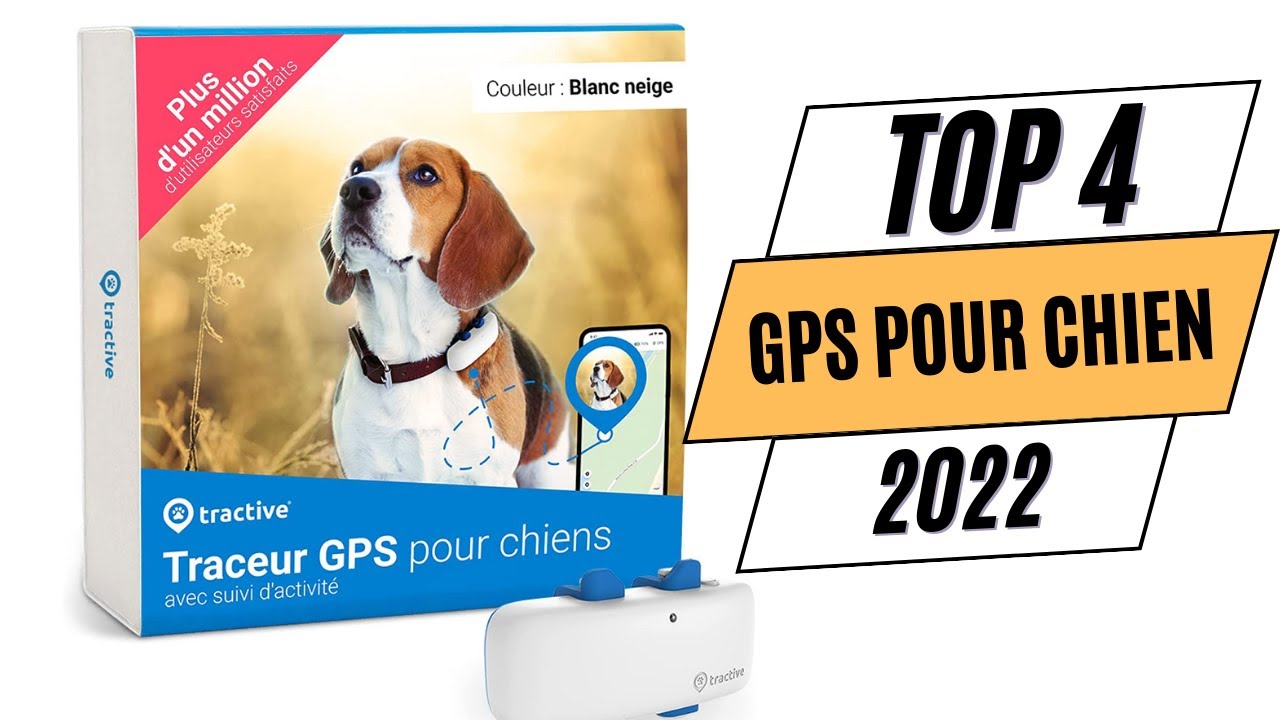 Tractive collier GPS chien - suivi d'activité, traceur pour chien