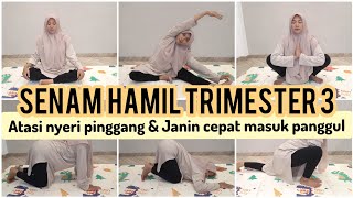 SENAM HAMIL TRIMESTER 3 AGAR JANIN CEPAT MASUK PANGGUL