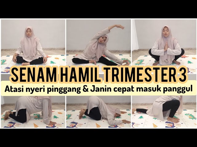 SENAM HAMIL TRIMESTER 3 AGAR JANIN CEPAT MASUK PANGGUL class=