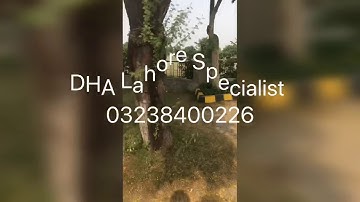 DHA phase 6 H block Park view 03238400226