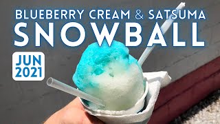 New Orleans Food: Blueberry & Satsuma Snowball @ Hansens Sno - Bliz • New Orleans Desserts