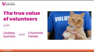 The true value of volunteers