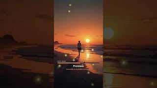 Promises pt2 #lofivibe #chillmusic #lofihiphop #lofistudy #musicarelajante #lofybeats