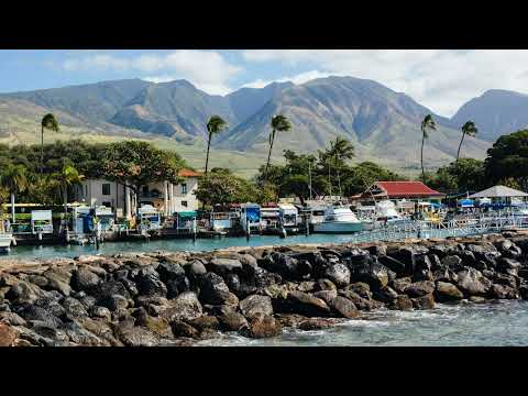 Мільярдери та податки: що було б, якби супербагаті платили, як жителі Гаваїв?