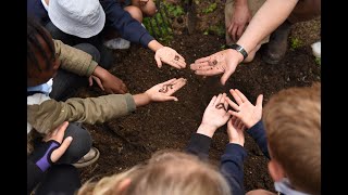 Plant Your Pants 2024: Exploring the soil with sight