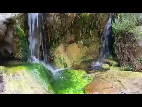 وادي قفعه بالمنطقه الجنوبيه