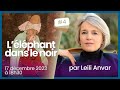 Rm  llphant dans le noir par leili anvar