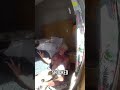His Reaction to a Car Crashing Into His Hotel Room Is Priceless #shorts