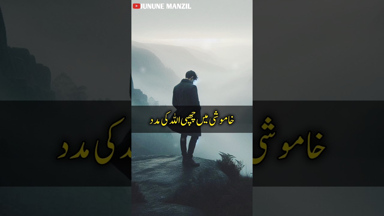 Allah Is Silently Helping you| YouTube short 