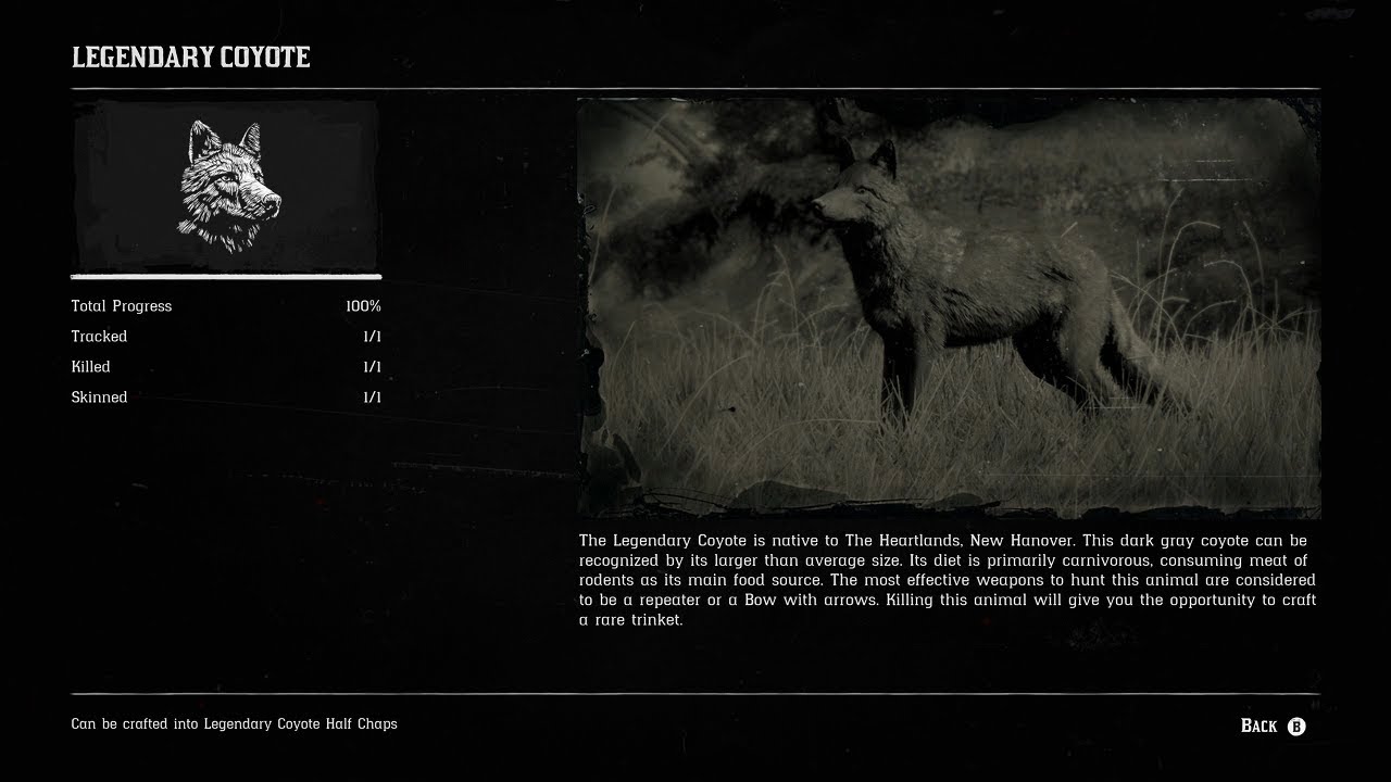 Red Dead Redemption 2 - Legendary Coyote Location - YouTube
