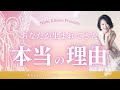 あなたが生まれてきた本当の理由
