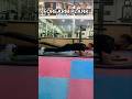 This abs workout will set your core on fire.#plank #absworkout #gymworkout #fitneess #viral