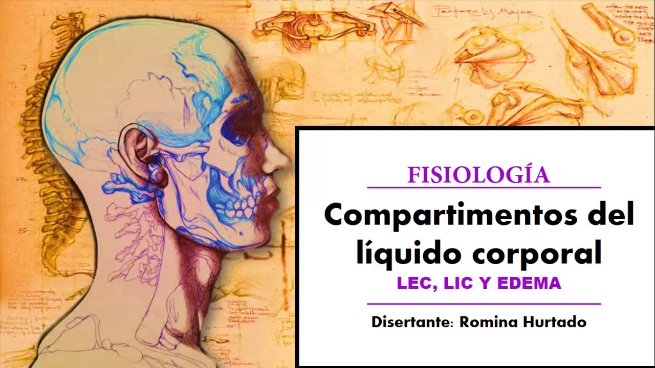 Compartimentos del LEC, LIC y EDEMA _Parte1(Guyton)