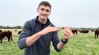 Why You Crave Meat: Humans Are Predators, Not Prey!