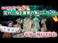 【日向坂46】『足の小指を箪笥の角にぶつけた』ギター弾いてみた!