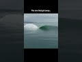 When the best wave of your life goes unridden #surf #surfing #stabmag