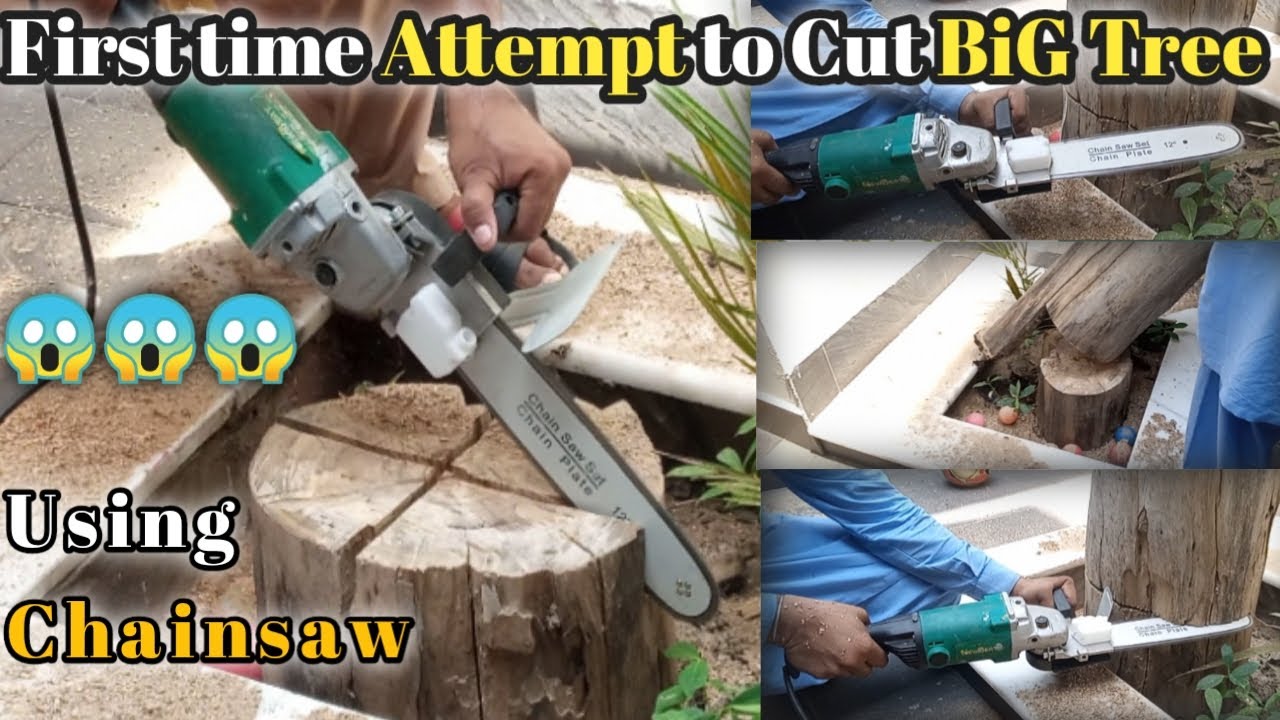 My First Chainsaw Attempt at felling a Massive😱 Tree - YouTube