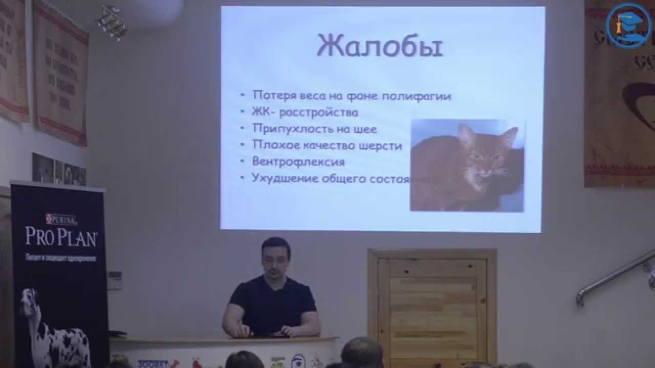 «Дисфункция щитовидной железы (гипотиреоз, гипертиреоз)». М. М ...