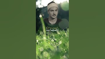 تلاوة خاشعة للشيخ المنشاوي | ﴿ونريد أن نمن على الذين استضعفوا في الأرض﴾