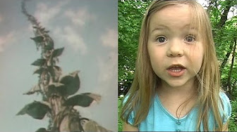 Babyteeth4 Classics - YouTube