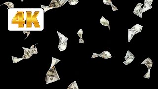 Money dollar bills falling videos loop black screen HD