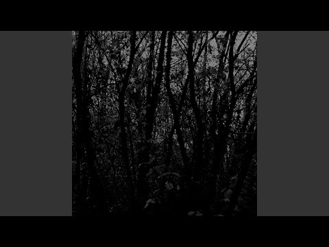 Unfold — Hexahedron