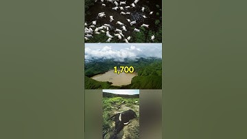 "The Lake That Exploded: Inside the Disaster of Lake Nyos! 🌋💧 #shorts #didyouknow