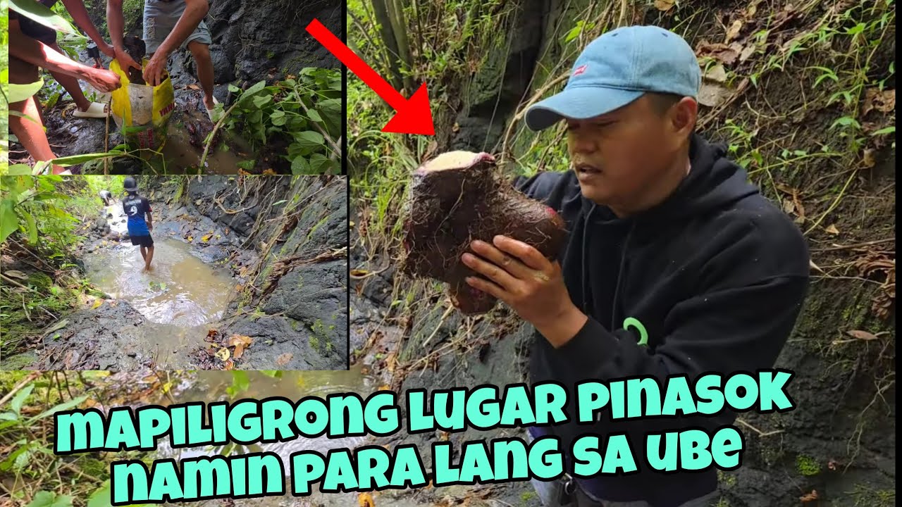 MAPANGANIB NA LUGAR PINASOK NAKIN DAHIL DITO||roelofmalalag