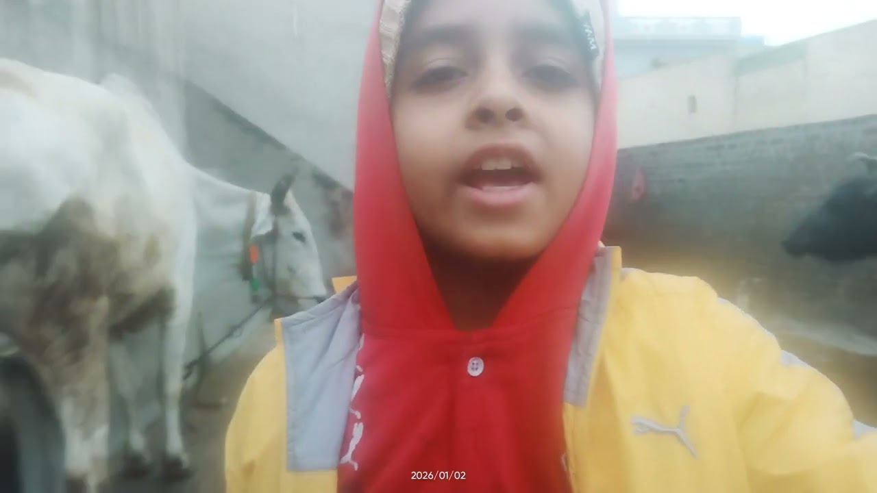 Desi Village lifestyle my second vlog plz like share and subscribe 