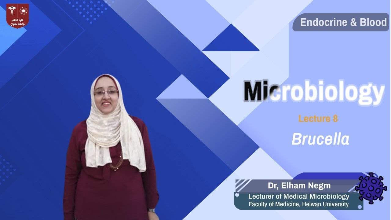 8.Brucella