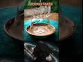 Science Mument Fact ,19 | #facts #troll #shorts #ytshorts #funk