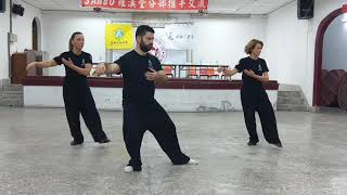 1081109羅漢堂分部推手交流-9表演活動-義大利-37式