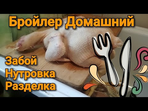 Вопрос: Можно ли давать кошке курицу из супового набора?