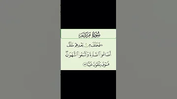 قرآن كريم Quran ف خ ل ف م ن ب ع د ه م خ ل ف أ ض اع وا الص ل اة الشيخ عبد الباسط 
