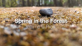 Spring in the Forest: realme 9 Pro+ short movie test