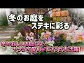 【ガーデニング】【冬のお庭】冬のお庭に彩りを…冬の寂しいお庭には色彩豊かな、ビオラが大活躍‼️