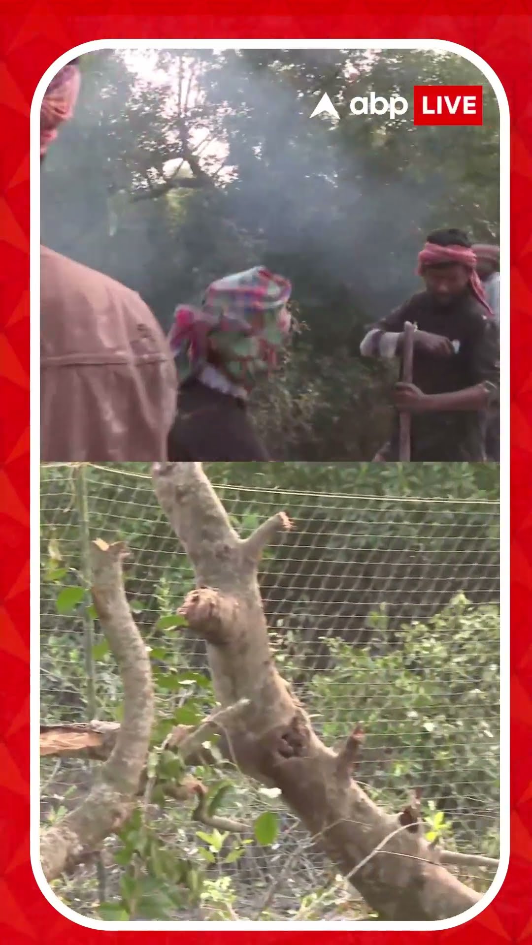 মৈপীঠে বাঘের আতঙ্ক, শব্দবাজি দিয়ে তাড়ানোর চেষ্টা