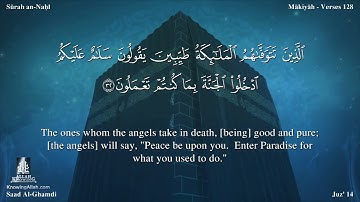 سورة النحل سعد الغامدي -Surat Al Nahl Saad Al-Ghamdi