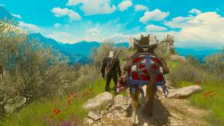 Witcher 3: Death March-No Potions/Runes Just Swords+Spells Mont Crane Castle Fight | Blood and Wine