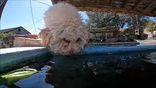 A TIN LE GUSTA EL XURES