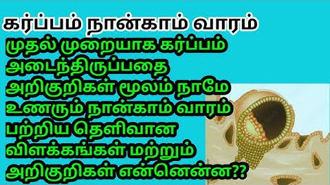 4th weeks pregnancy symptoms||நான்காம் வாரம் கர்ப்ப அறிகுறிகள்