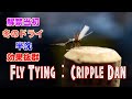 渓流釣り解禁で使え。 フライタイイング【クリップル ダン】 渓流釣り / Fly Tying Tutorial by T.T Fly-man